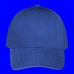 OTTO CAP 6 Panel Low Profile Baseball Cap