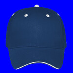 OTTO CAP 6 Panel Low Profile Baseball Cap