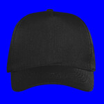 OTTO CAP 5 Panel Mid Profile Baseball Cap