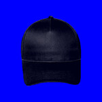 OTTO CAP 5 Panel Low Profile Baseball Cap