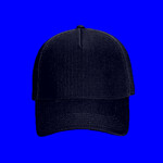 OTTO CAP 5 Panel Low Profile Baseball Cap