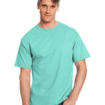 6.1 oz. Tagless® T-Shirt