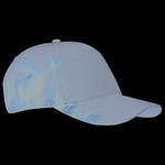 Brushed Cotton Twill Moose Cap